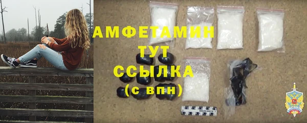 гидра Богданович