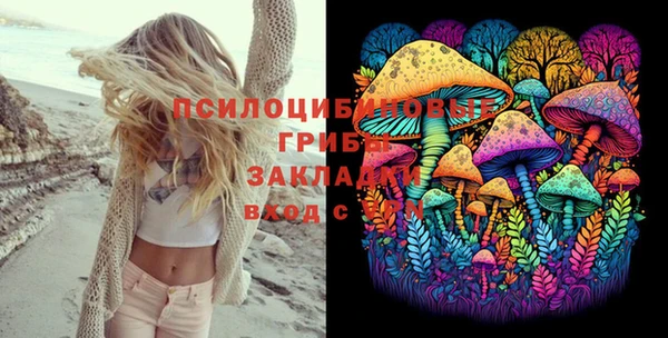 спайс Богородск