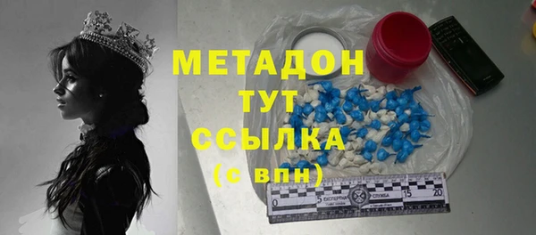 гидра Богданович