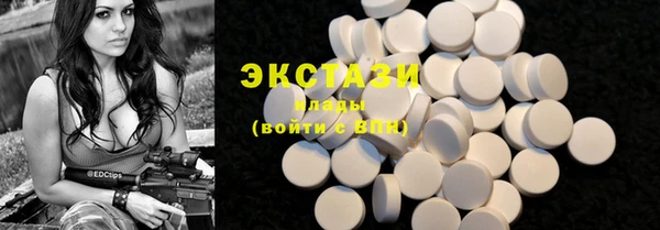 дживик Богородицк
