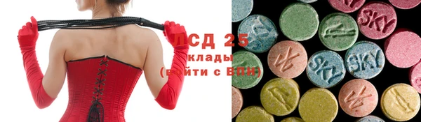 гидра Богданович