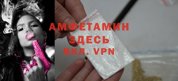дживик Богородицк