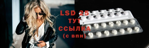 дживик Богородицк