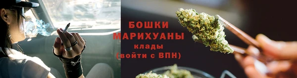 гидра Богданович