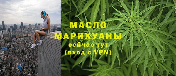 гидра Богданович