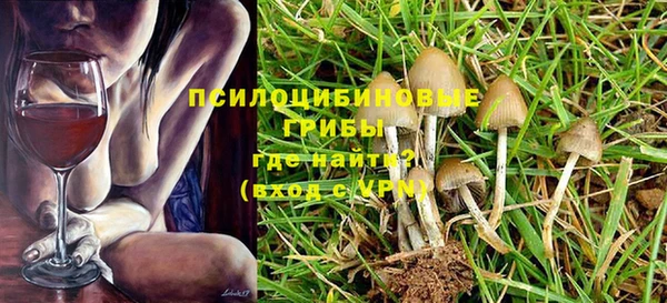 спайс Богородск