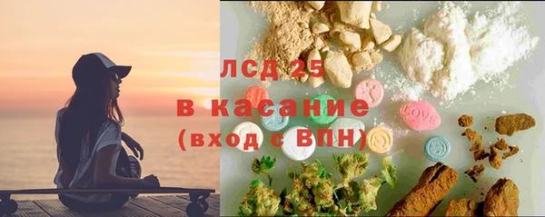 гидра Богданович