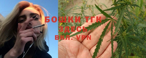 гидра Богданович