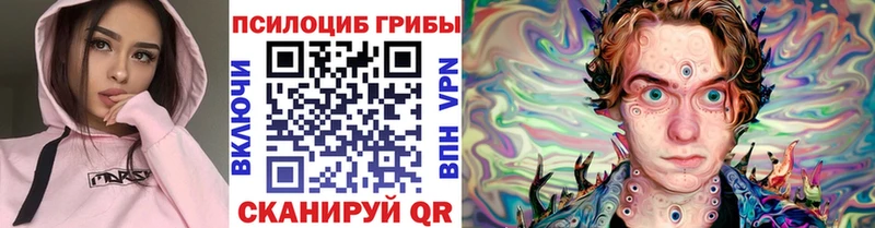 Купить где  Лысково  Псилоцибиновые грибы мухоморы 